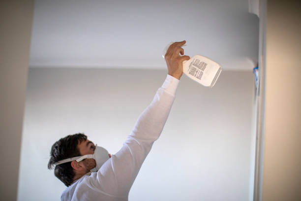 Best Certified Mold Removal  in Plains, TX