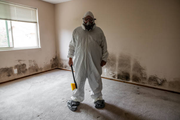 Best Professional Mold Removal  in Plains, TX